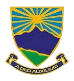 Badge 9